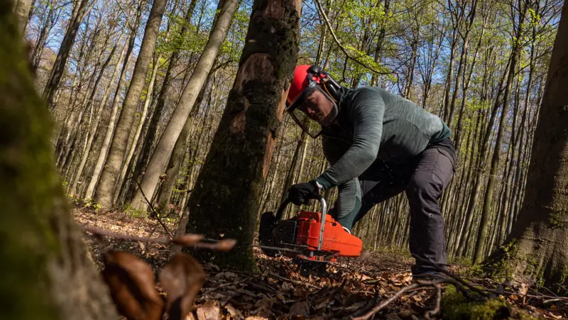 Tree service work