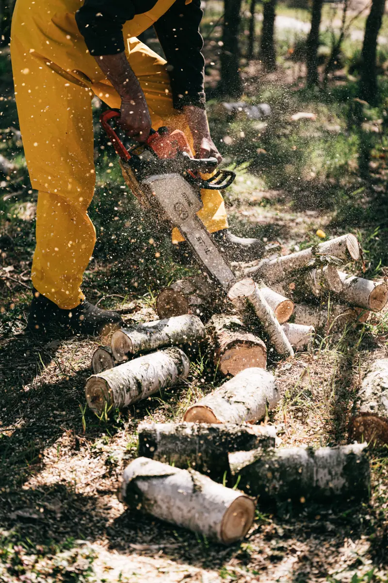 Tree service work